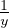 1y